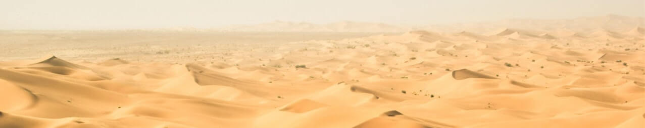 la línea del desierto